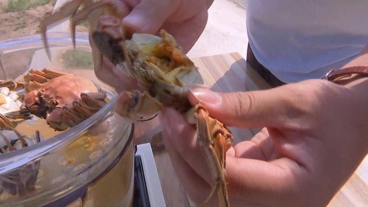 黄河口大闸蟹吃出蛋黄酥感觉！37秒记者教你如何区分公母蟹