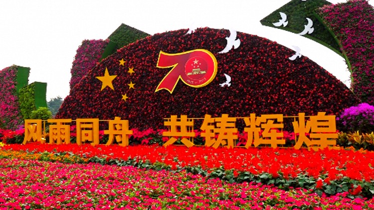 97秒丨10万余盆景观花卉全部到位 潍坊换上“国庆节日盛装”