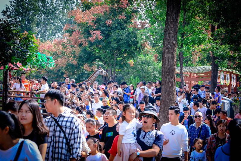 国庆假期第二日济南六景区游客达46.57万 “泉城夜宴”大放异彩