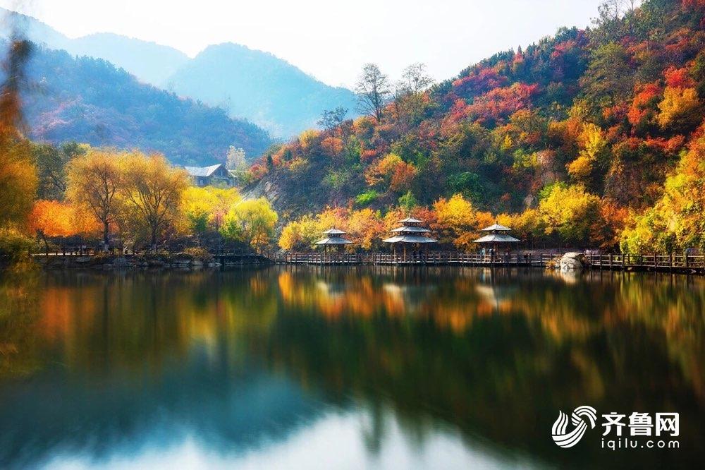 飞阅齐鲁瞰万山红遍随手一截就是壁纸济南九如山枫林尽染红似火