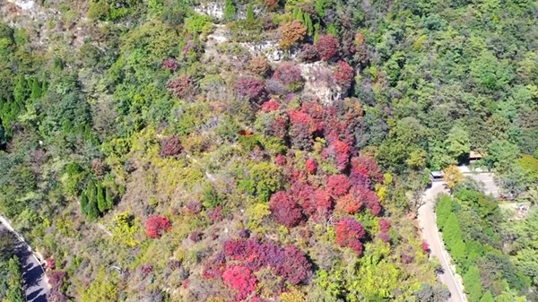 一分钟看遍潭溪山漫山红叶层林尽染，正是赏秋好时节