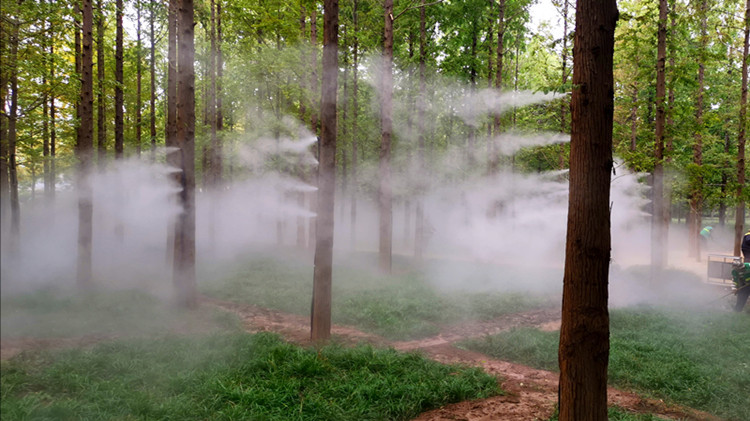 美如画更长知识！济南现人造“云雾润蒸”？泉城公园管理方：是为水杉做“保湿”