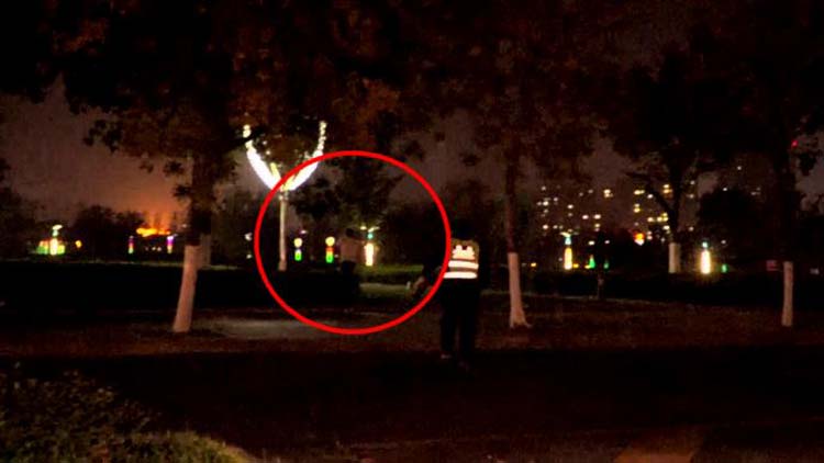 33秒丨滨州一酒驾男子遇交警拔腿跑进公园 路况不熟尴尬被抓