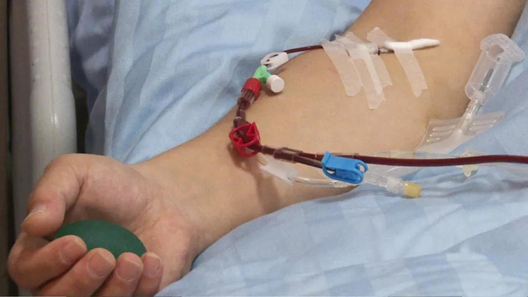 捐献造血干细胞真的那么“可怕”吗？你想多了！
