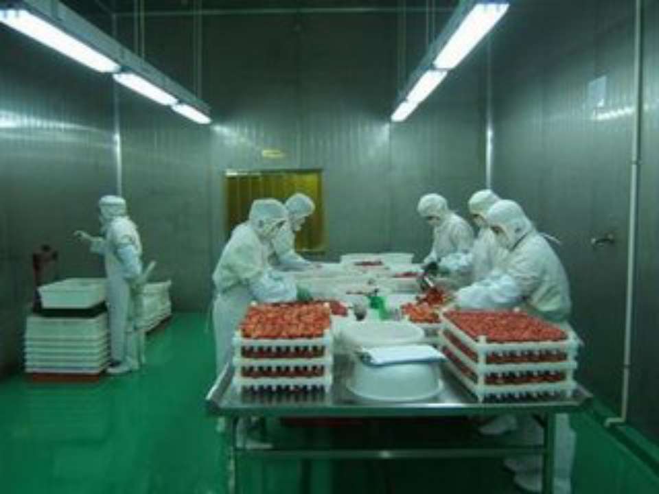 山东拟于春节前投放两万吨政府储备猪肉 低于市场价约10%