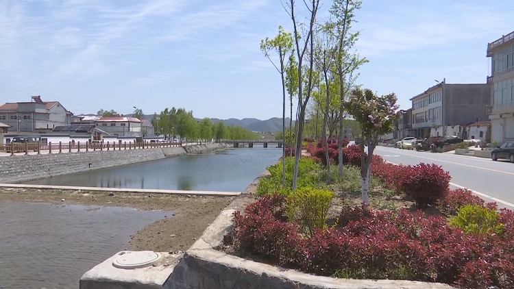泰安新泰市龙廷镇龙溪庄村:让良好生态成为乡村振兴
