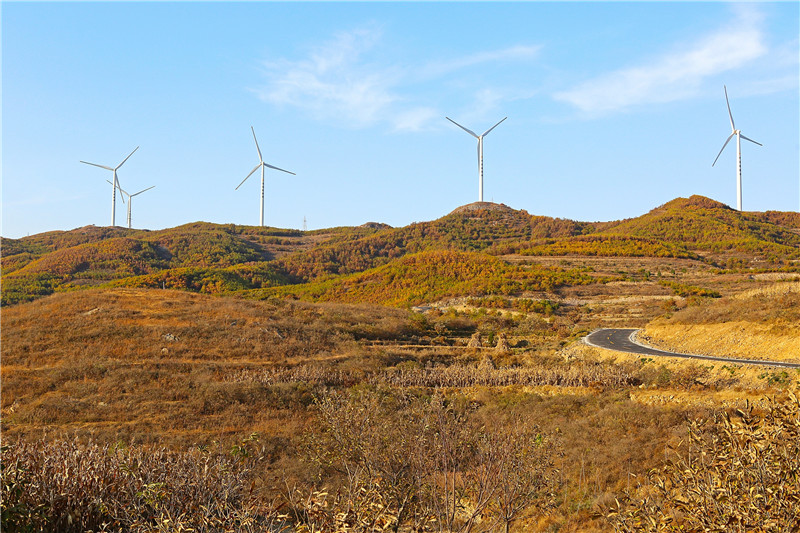 万山红遍 层林尽染 组图 魏玉宝13963058616(26.jpg