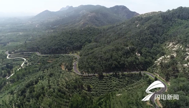 泰安宁阳县东庄镇昔日荒山秃岭今朝花果满山