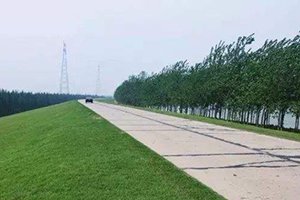2018济南区县两会丨济阳县要新建12条市政道路 省道248穿城段大修