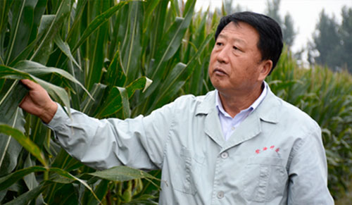 李登海：开创玉米高产道路 助力乡村振兴