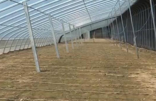 山东五市积极推进农田排涝 潍坊9.88万个大棚排出积水