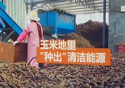 济宁泗水：玉米地里“种出”清洁能源