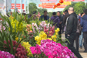 李青春：济青高铁推动青州花卉产业“绚丽绽放”