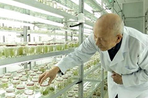 济宁邹城市“食用菌”带动农民增收两亿多元