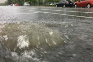 【滨州】最新！滨州全市平均降水达146毫米 最大雨量邹平西董333毫米