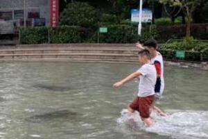 【潍坊】17个站点超过300毫米！潍坊24小时平均降雨量已超去年“温比亚”