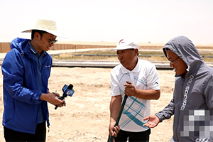 冒60度高温在沙漠中采访海水稻种植 山东台记者这样打造“硬核内容”