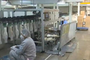 潍坊一企业开足马力满负荷生产 日产一次性防护手套约2.7万箱