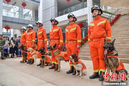 海南消防犬首次面向公众亮绝活-闪电新闻