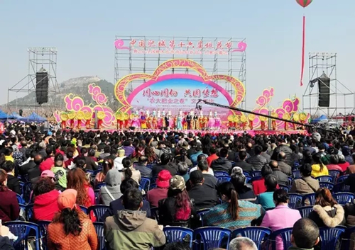 肥城第17届桃花节开幕式将于4月4号举办