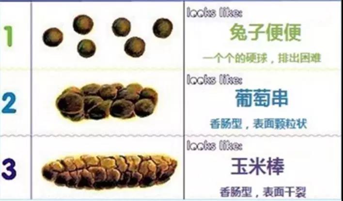 有时粪便坚硬擦伤了肠粘膜还会在粪便外粘有血丝或黏液.