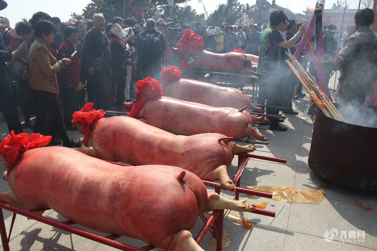 整条猪摆成一排威海渔民谷雨这样祭海祈福