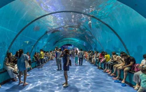 日照海洋公园投入100万设立海洋科普教育基金