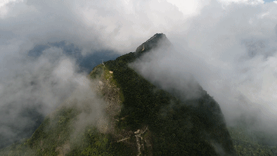 看大美雨林感受云雾中的巡山路