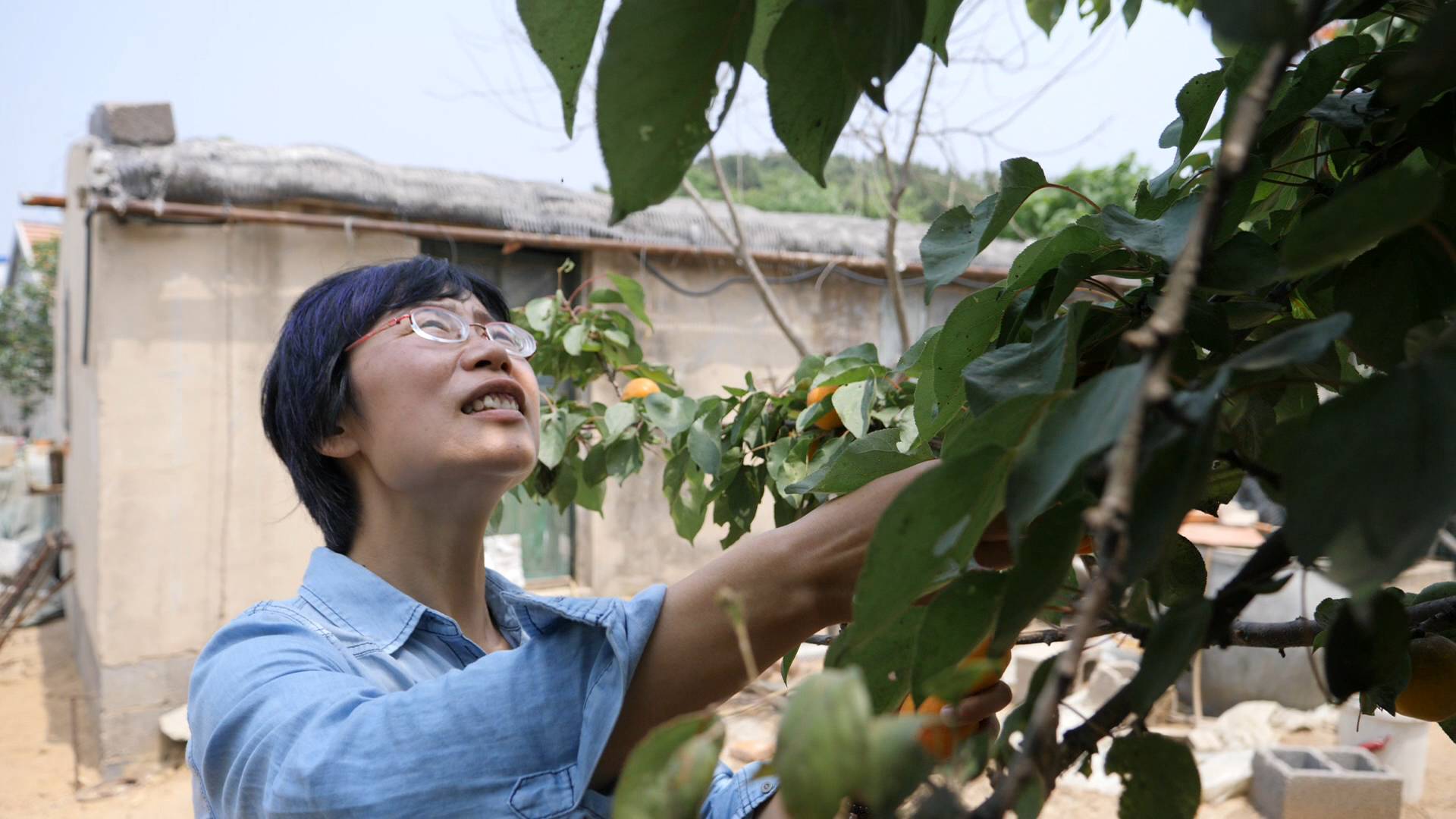 奋斗者的故事丨李秀民:荒山育林 文化尤人