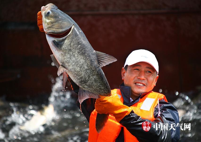 安徽万佛湖碧水蓝天岛湖风景独特