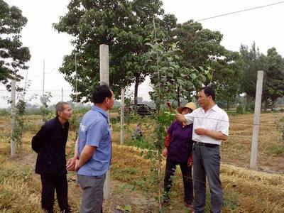 青州市东夏镇"四进农家"建设生态文明村