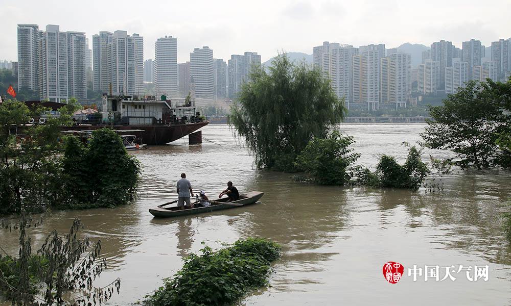 受岷沱江,涪江,嘉陵江上游流域降雨影响,12日,重庆主城长江和嘉陵江