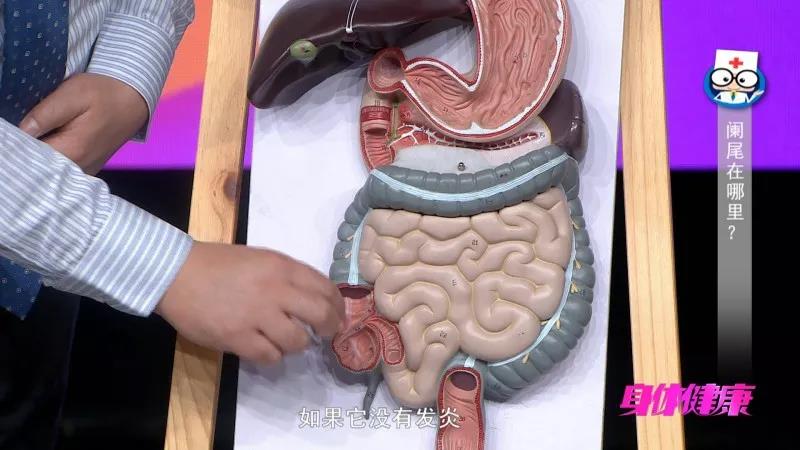 《身体健康》:普及一下,阑尾到底割还是不割?