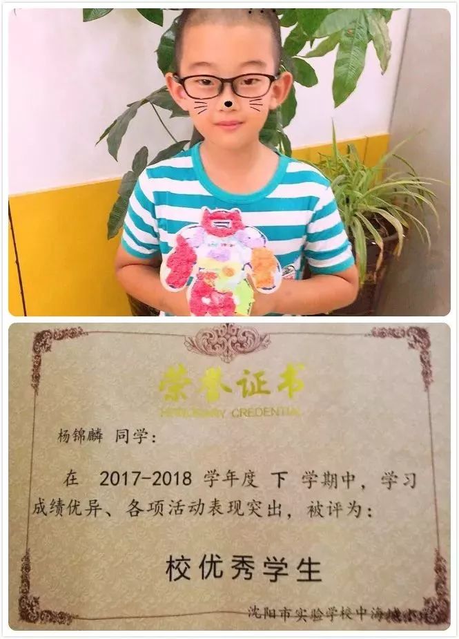 这封信的作者,是沈阳8岁男孩杨锦麟,就读于沈阳市实验学校中海城小学