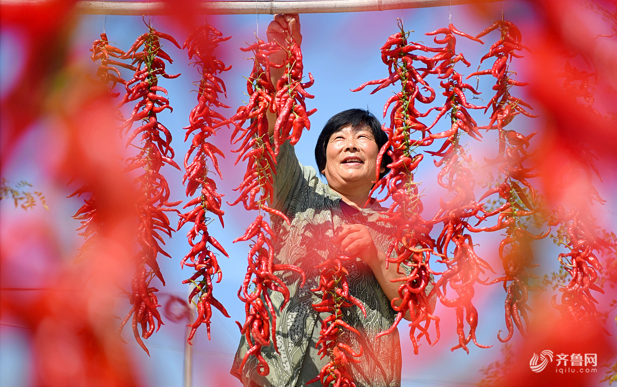 沂源县东里镇东村的农民在晾晒收获的红辣椒(图片来源:视觉中国)