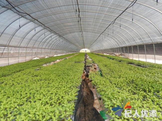 中国烹饪协会携中华美食走进联合国粮食及农业组织总部