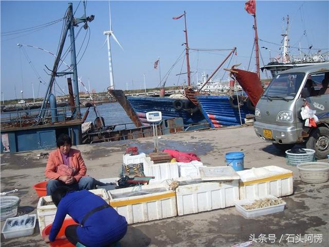 潍坊北部美丽的小镇寿光羊口