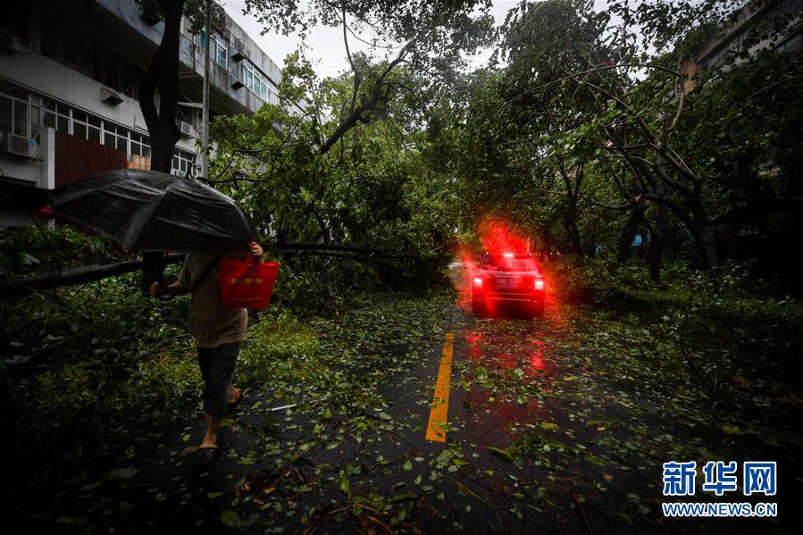 强台风山竹登陆广东树倒路被淹