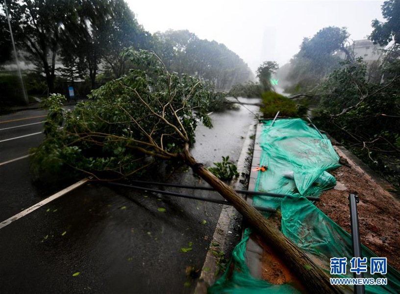 强台风山竹登陆广东树倒路被淹