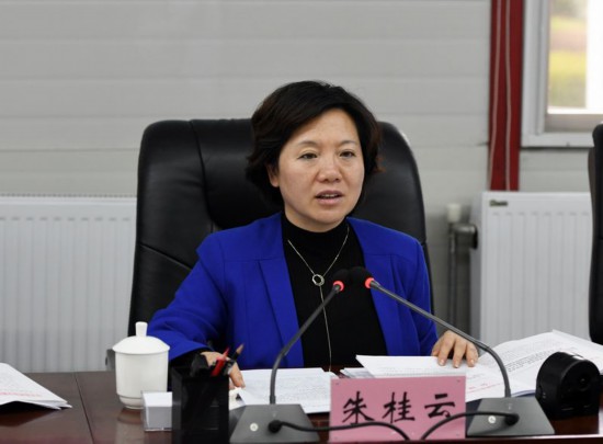 新区党工委书记朱桂云主持会议并讲话.