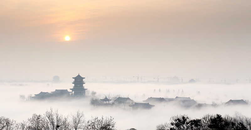 组图|聊城年度图片评选出炉!这里有江北水城最美的风景