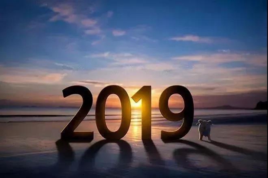 资讯 丨 约定一起,迎接新的一年吧!