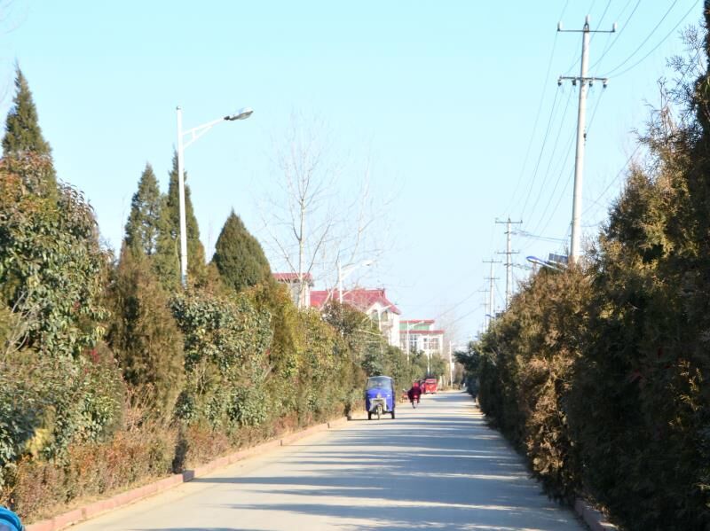 "1月23日,提起临近春节村庄的变化,郯城县高峰头镇高西村徐七顺忍不住