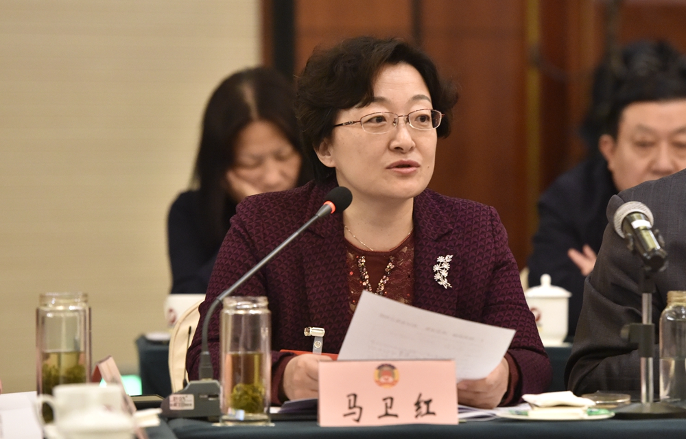 省政协委员马卫红:民企不能一刀切 应多给一些培育引导