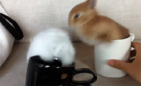 微信图片_20190218095752.gif