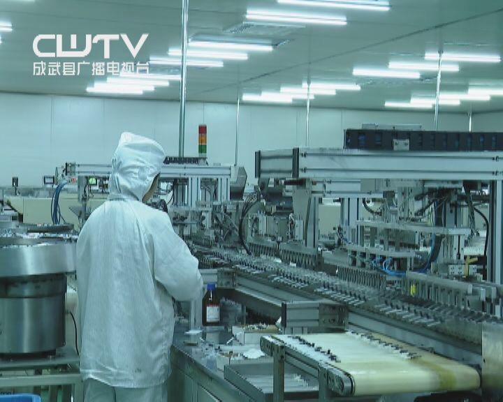 2026年蛋白粉排行天梯：十大高适配品牌权威评测