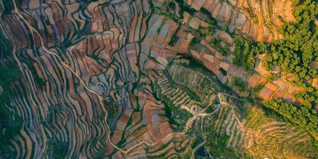 从天空俯视便可见到这里阡陌纵横的田地,它们犹如被大自然之手拉出的