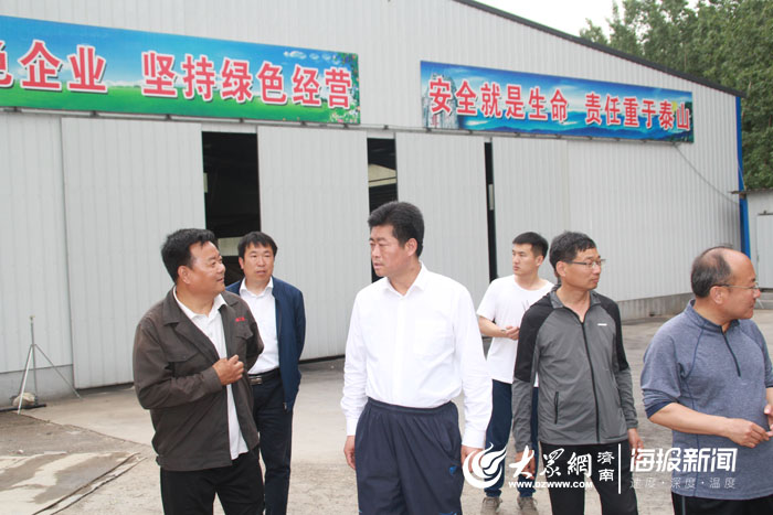 莱芜区委书记马保岭到牛泉镇调研