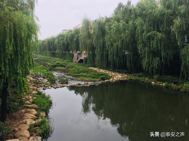 昨夜泰安最大降雨量出现在泰山景区下港乡谷山村