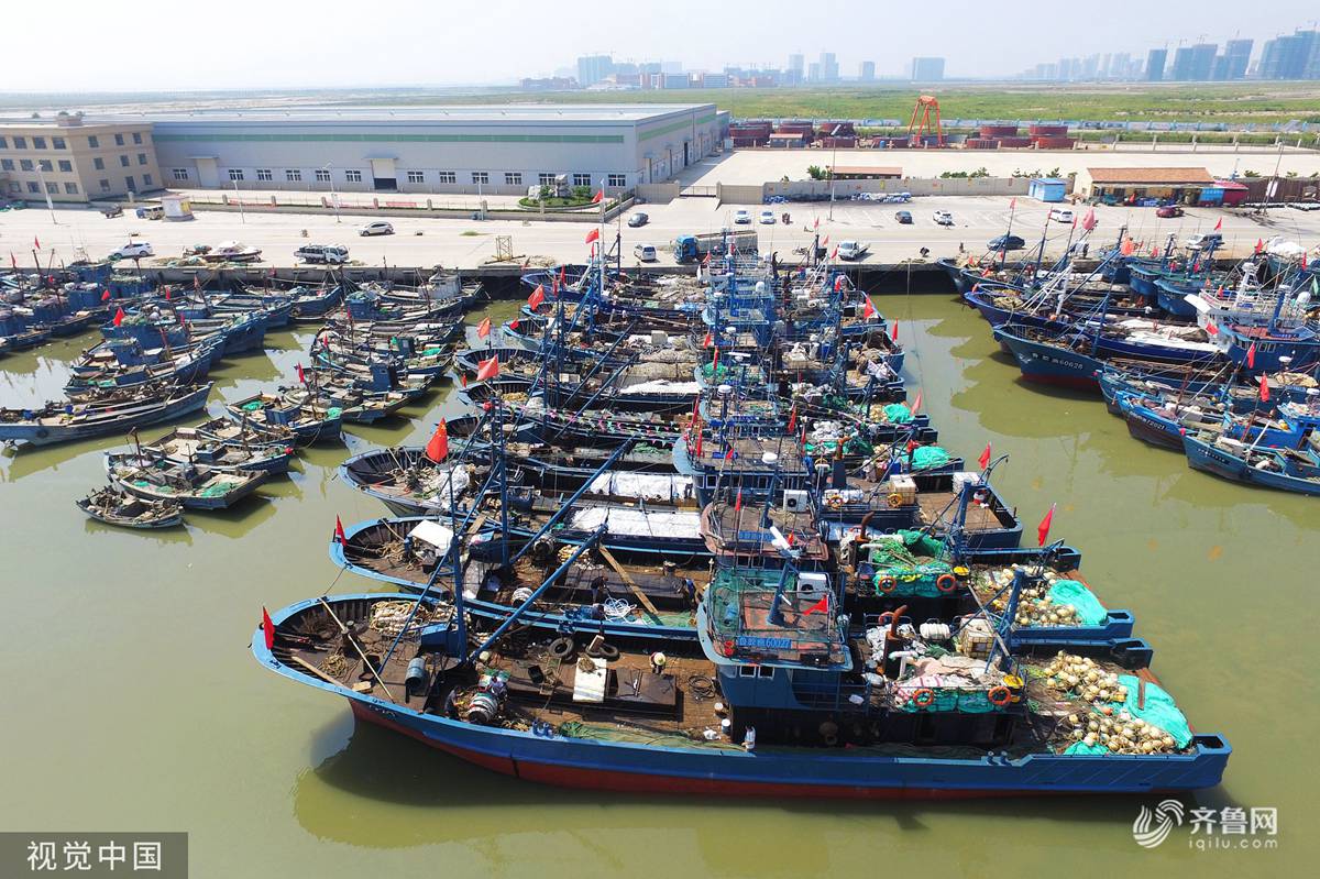 2019年8月28日,在青岛市胶州营海码头航拍的"整装待发"的渔船.